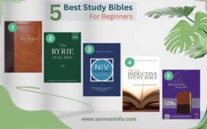5 Best Study Bible For Beginners With Helpful Notes