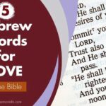5 Hebrew Words For Love In The Bible Explained