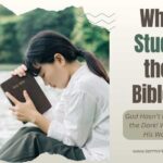 3 Reasons To Study The Bible Explained